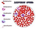Nutrición curativa de la sangre: dieta de pacientes hematológicos.