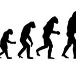 Atpažinimas Lamarko ir Darvino evoliucijos teorijų palyginimas