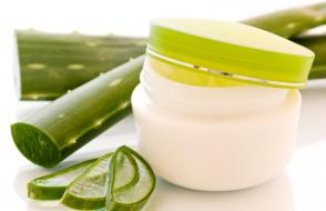 How is aloe and honey used in folk medicine?