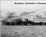 Prekinio laivo „Marina Raskova“ gelbėjimas naikintuvais „Gremiaščij“ ir „Gromkij“.